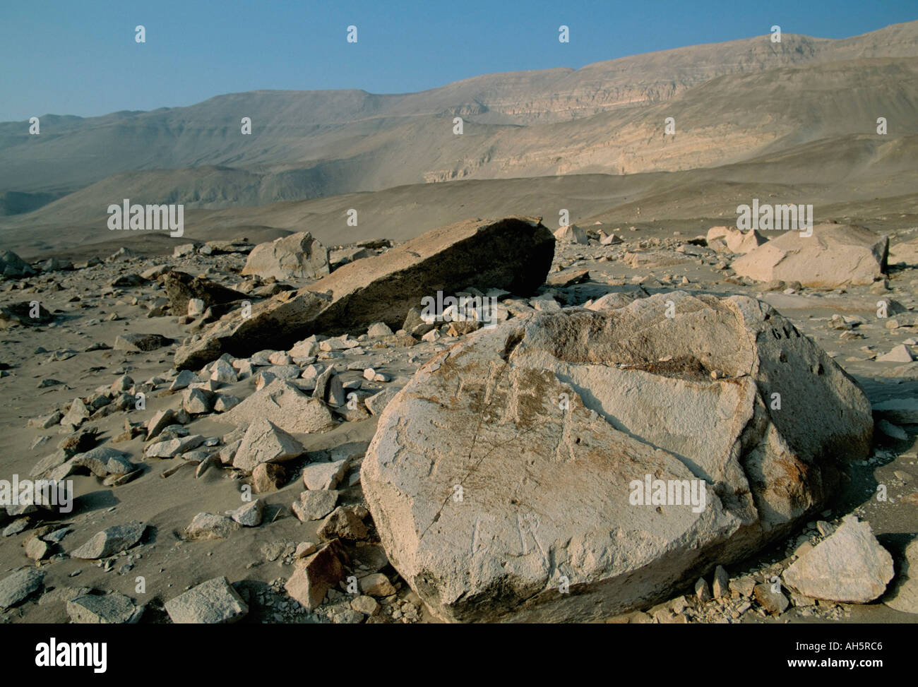 Petroglyphen Toro Muerto Rio Majes Tal Peru Südamerika Stockfoto