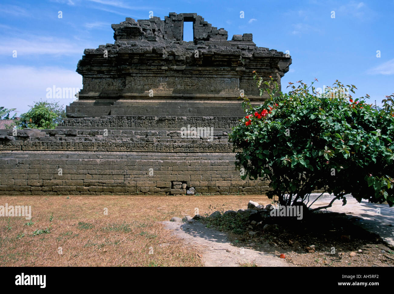 Candi Jago Jajaghu, gebaut im Jahre 1268 und dachte, ein Denkmal für den vierten Singosari sein König Vishnuvardhana Insel von Java i Stockfoto