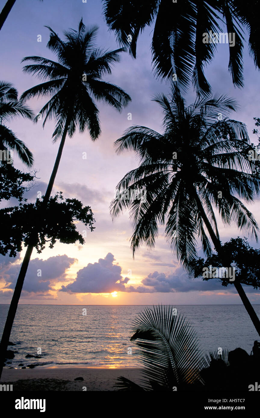 Sonnenuntergang, umrahmt von Palmen Patong Phuket Thailand Südostasien Aisa Stockfoto