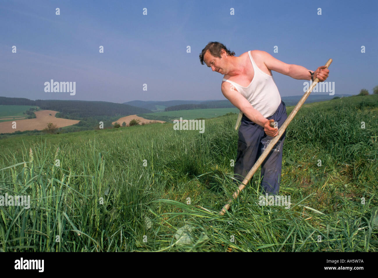 Landwirt, mähen Rasen in der Nähe von Levoca Slowakei Europa Stockfoto