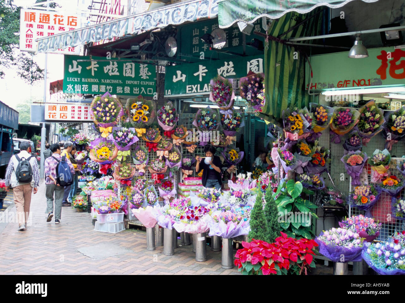 Blumenmarkt Mong Kok Kowloon Hong Kong China Asien Stockfoto