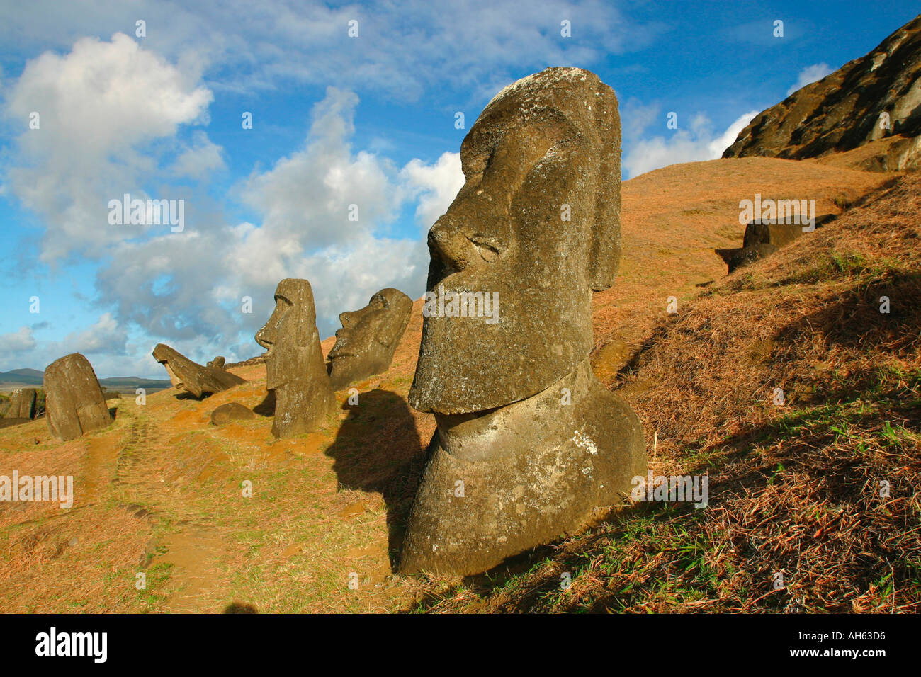 Rano Raku Moai-Statue Steinbruch Osterinsel Rapa Nui Chile Stockfoto