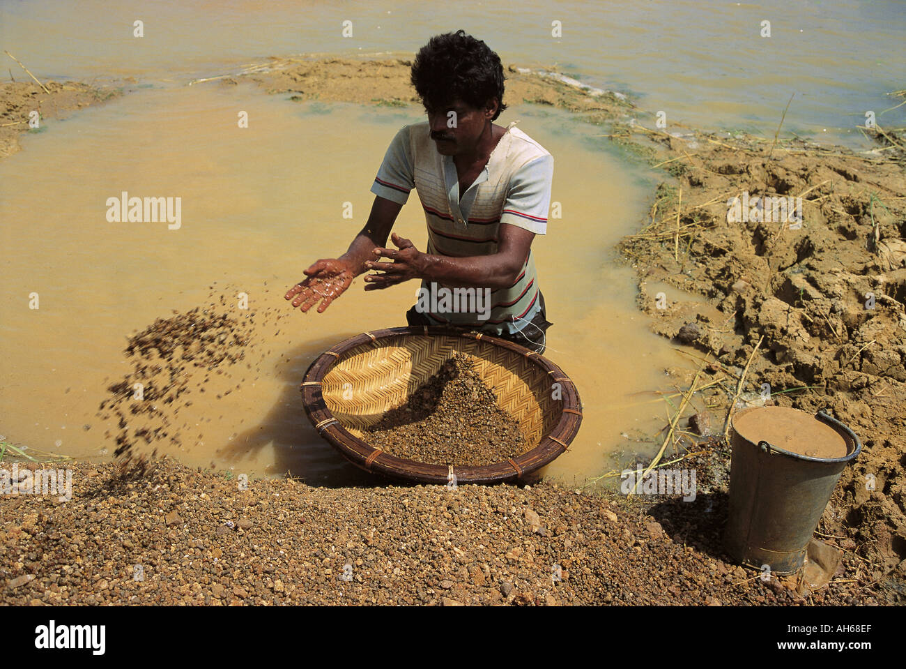 Ein Mann fossicking für Saphire in einem Stream in Sri Lanka Stockfoto