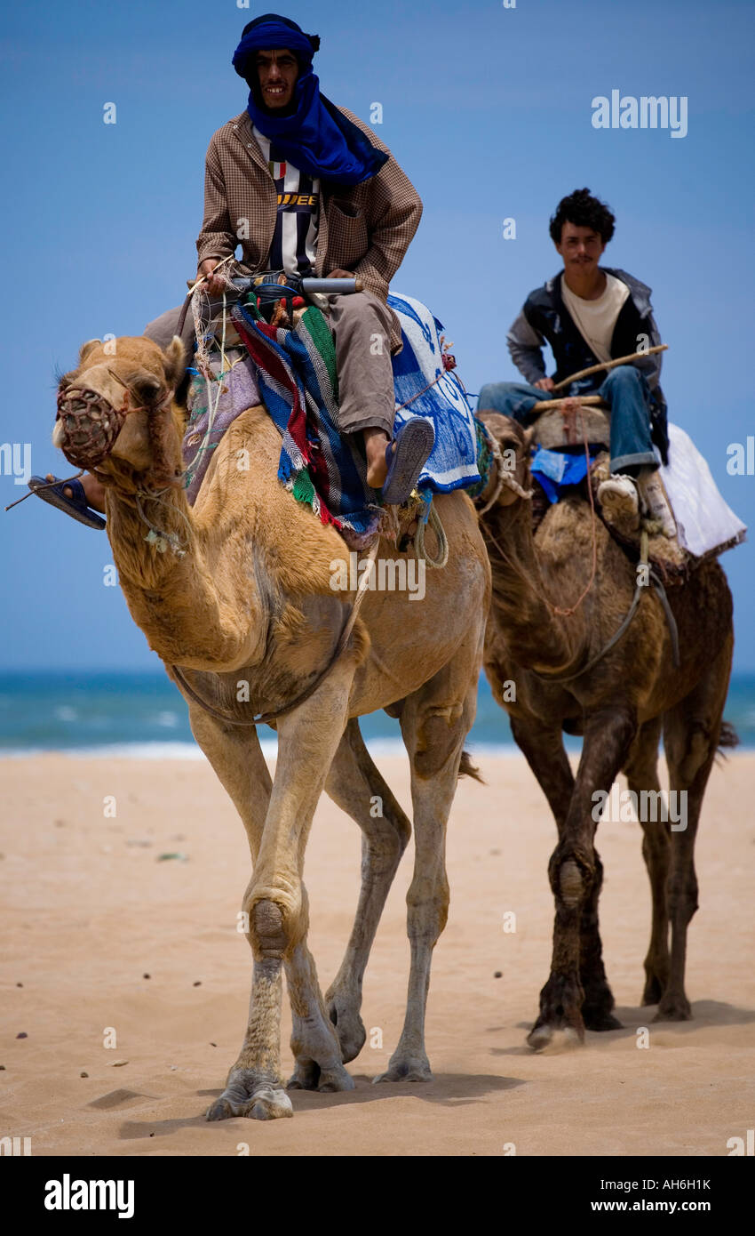 Zwei Kamel Fahrer nähert sich an einem Strand in Essaouira, Marokko. Sie verkaufen Kamelreiten für Touristen. Stockfoto
