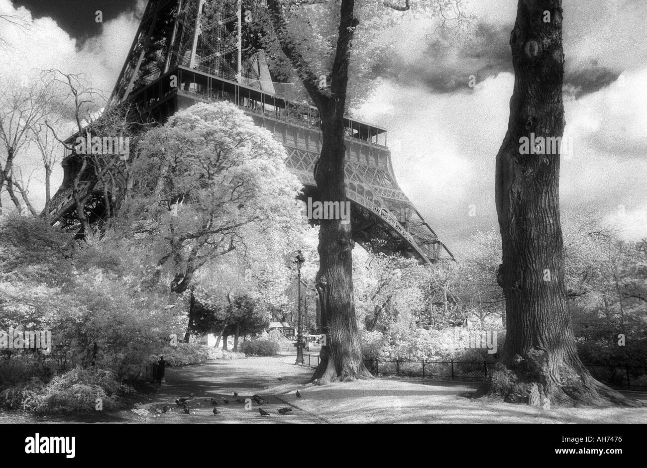Der Eiffel Turm Champs de Mar Paris France Stockfoto