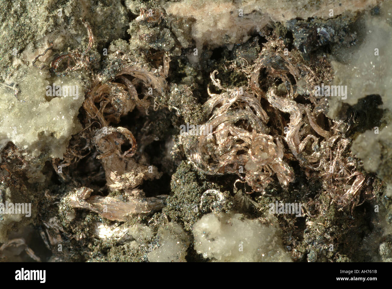 Mineral Gold, Varient Elektron, Silber farbigen Drähten von electum verstreut über Matrix und in einem Hohlraum in der quarzader durch die Probe läuft Stockfoto