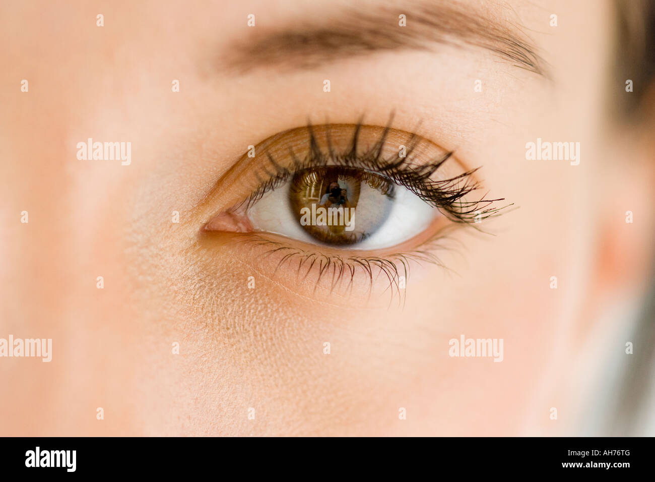 Nahaufnahme des Auges Stockfoto