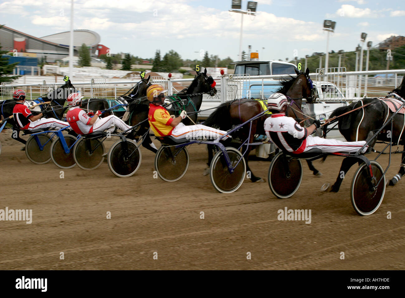 Traber Trabrennen Stampede Park Stampede Park Calgary Alberta Kanada Stockfoto