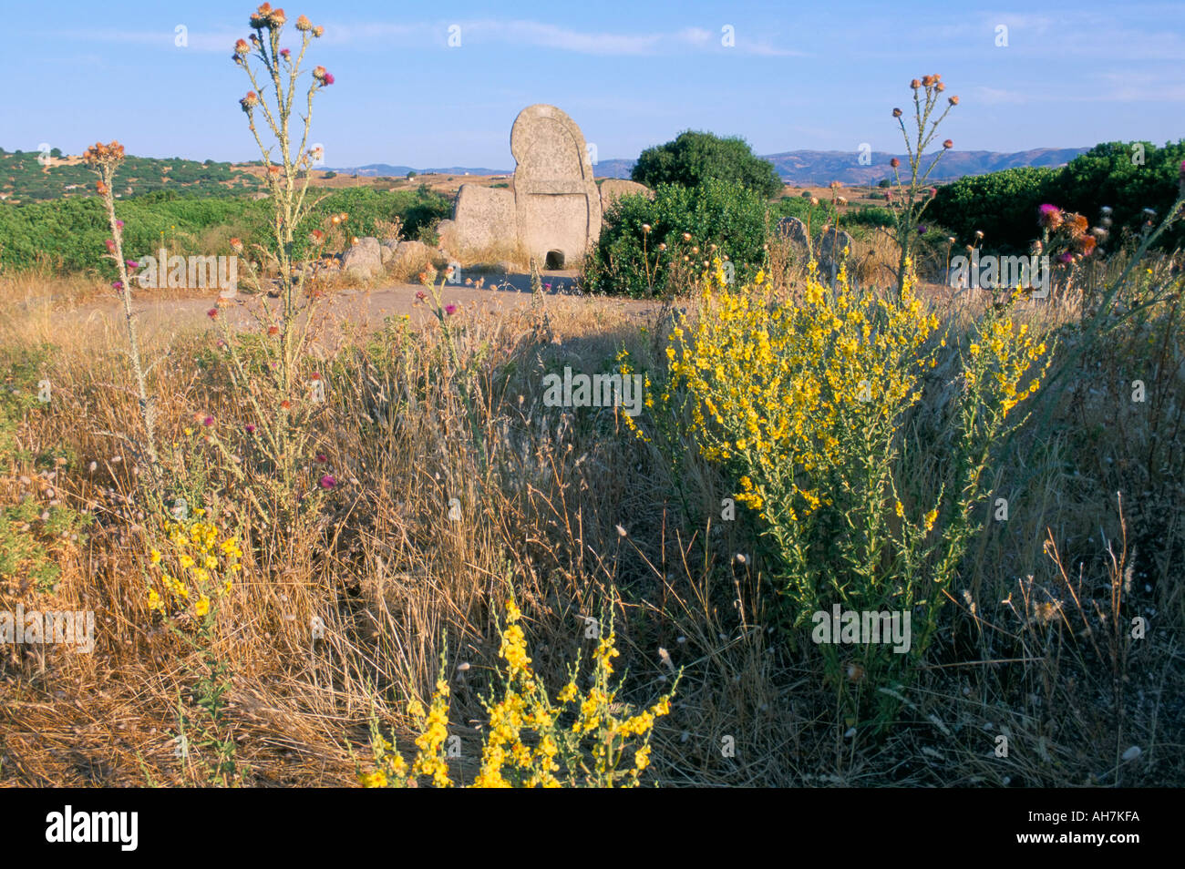 Tombe des Geants Riesen Grab Nuoro Provinz Insel Sardinien Italien Mittelmeer Europas Stockfoto