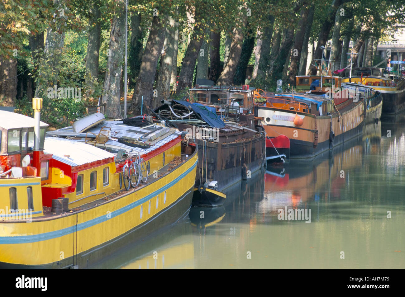 Boulevard de Monplaisir Canal du Midi-UNESCO-Weltkulturerbe Stadt Toulouse Haute Garonne Midi-Pyrenäen Frankreich Stockfoto