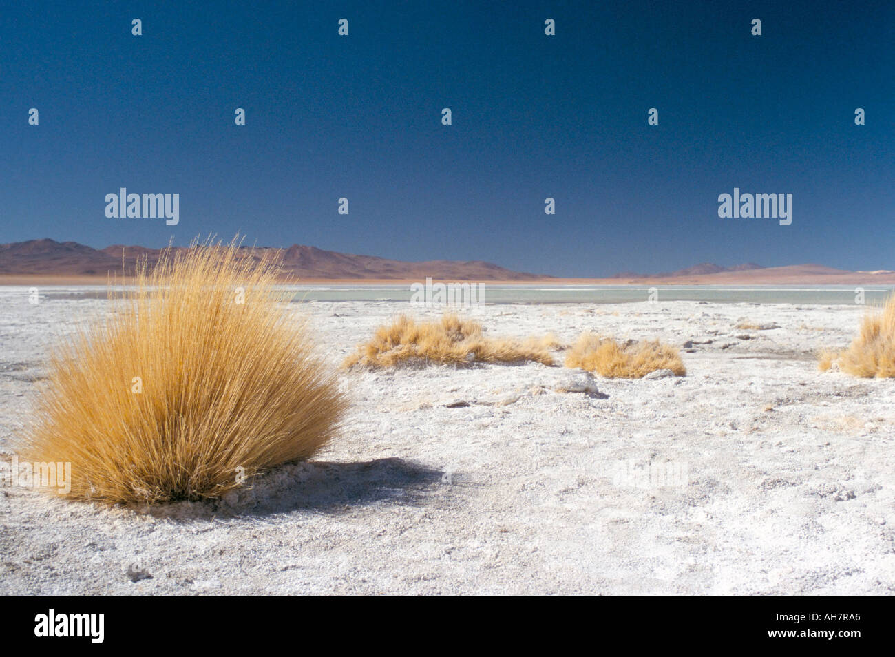 Laguna Verde Salar de Uyuni Bolivien Südamerika Stockfoto