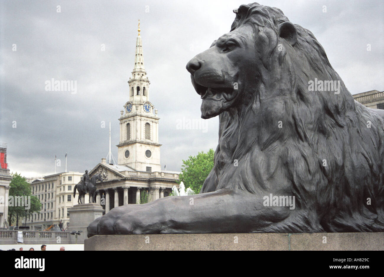 Löwen am Trafalgar square Stockfoto