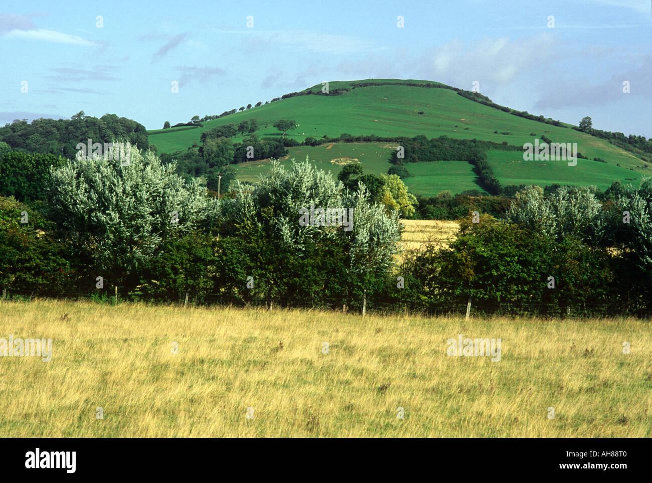 Brent Knoll einsame Kalkstein Hügel neben der A38 nördlich von Highbridge Somerset Stockfoto