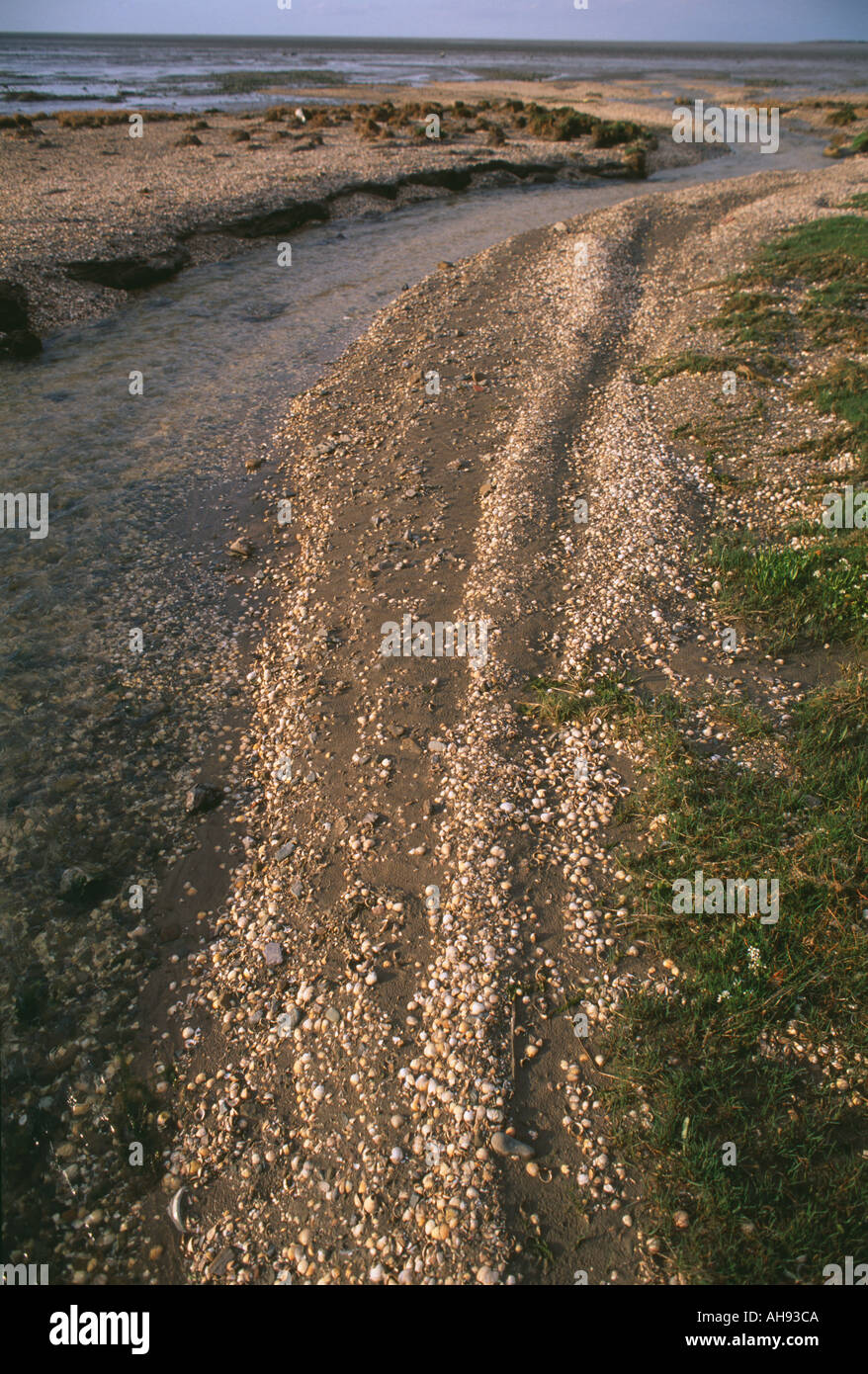 Salisbury Bank, Moyston Docks Fluss Dee Estuary, Clwyd, Wales, GB, UK. Stockfoto