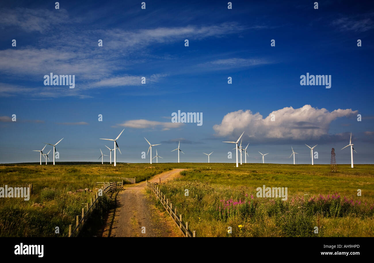 Dun Gesetz Windpark - 26 Turbine Windpark am westlichen Ende der Lammermuir Hügel - 20 Meilen SE von Edinburgh Stockfoto