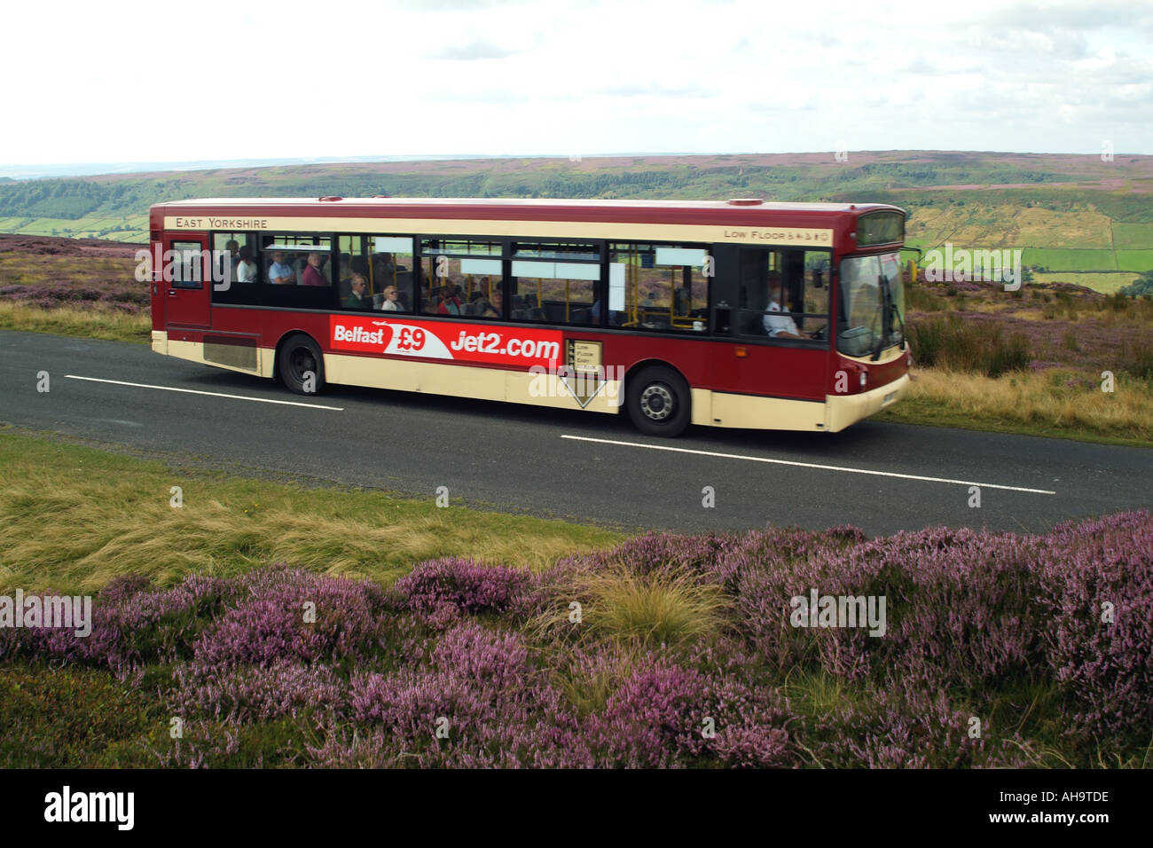 Heidekraut bedeckten Mauren North Yorks Nationalpark Yorkshire Busfahrt. Nördlichen England UK United Kingdom Stockfoto