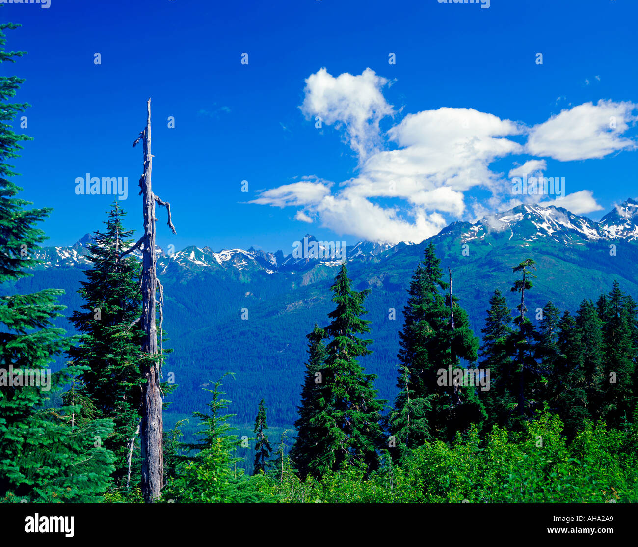 Cascade Mountains im US-Bundesstaat Washington USA Stockfoto