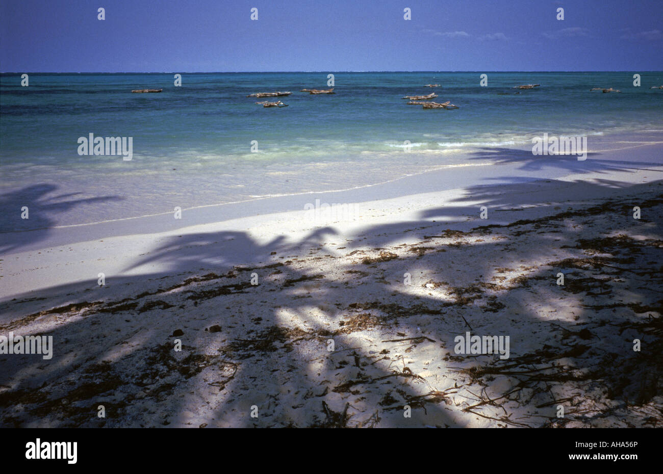 Exotischer Paje Strand am späten Nachmittag mit Palmen Schatten Sansibar Tansania Ostafrika Stockfoto