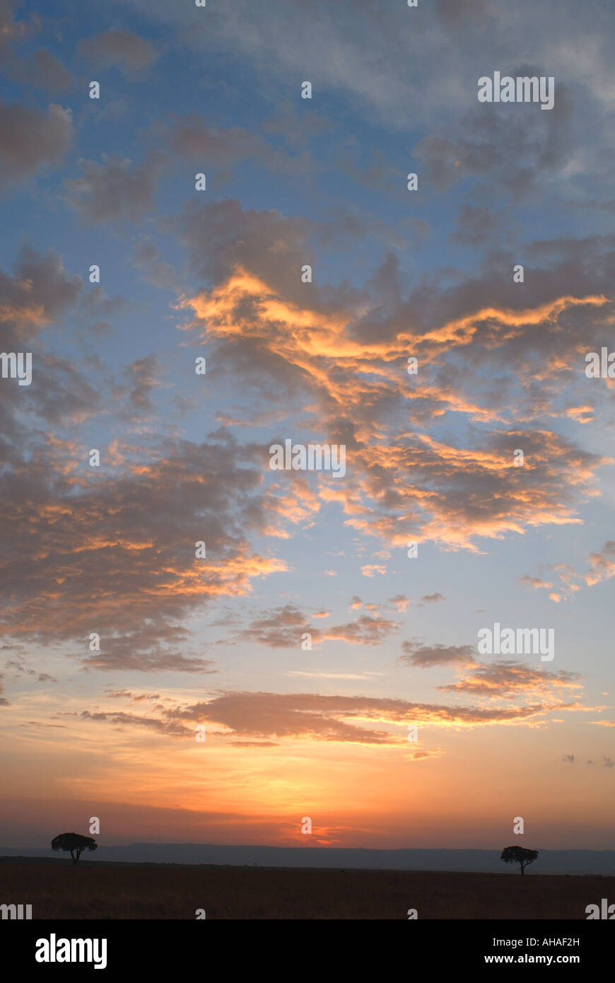 Einen wunderschönen Sonnenuntergang Himmel über die Wiese-Ebene von der Masai Mara National Reserve Kenia in Ostafrika Stockfoto