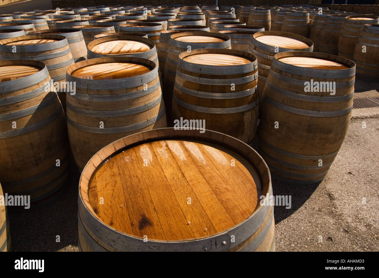 Farbbild horizontale Reihen von Eiche Weinfässer in der Regaliali Estate Winery in Sizilien Italien Stockfoto