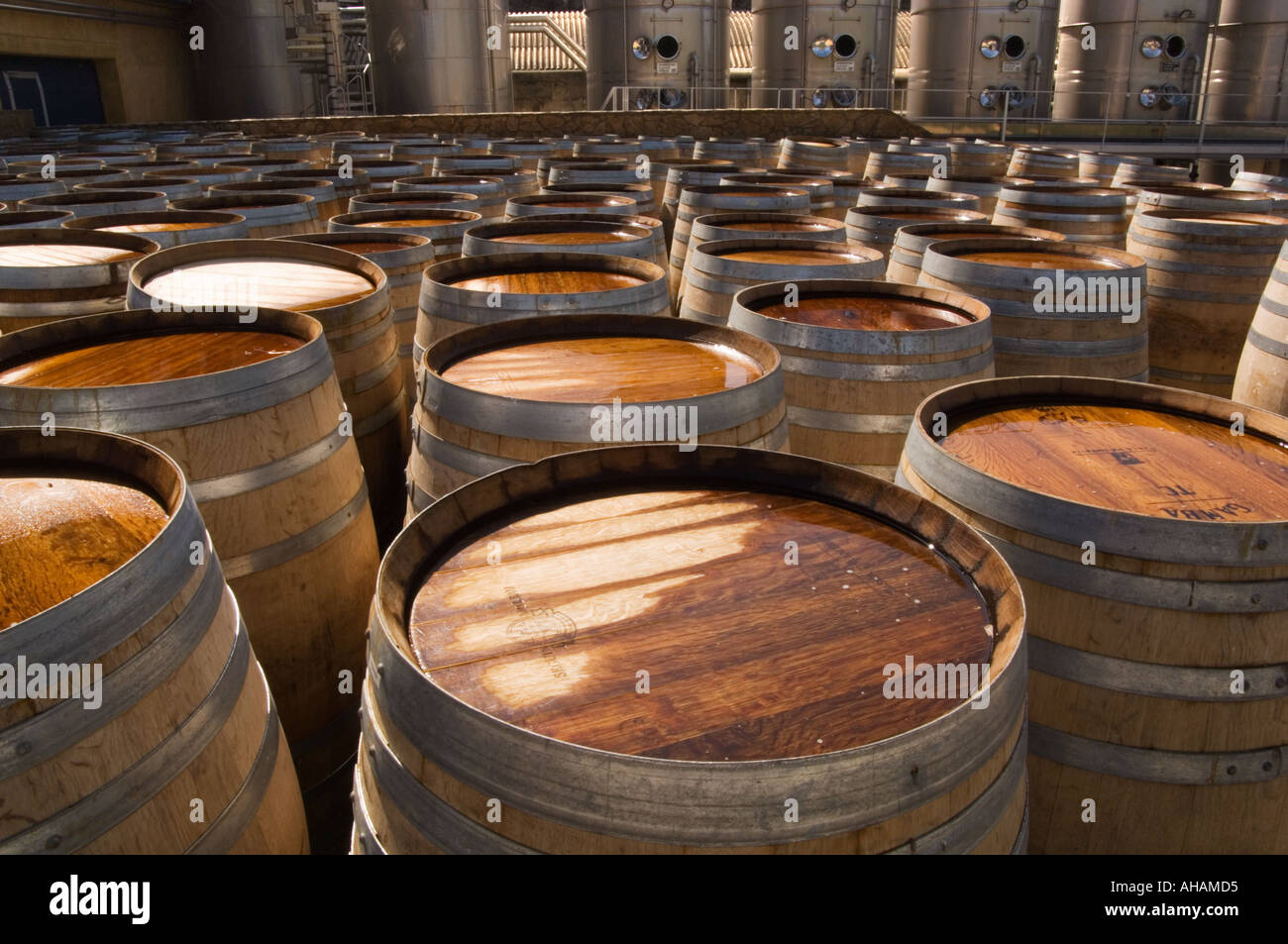 Reihen von Eiche Weinfässer mit Wein Gärung Edelstahltanks im Hintergrund das Regaliali Weingut in Sizilien Stockfoto