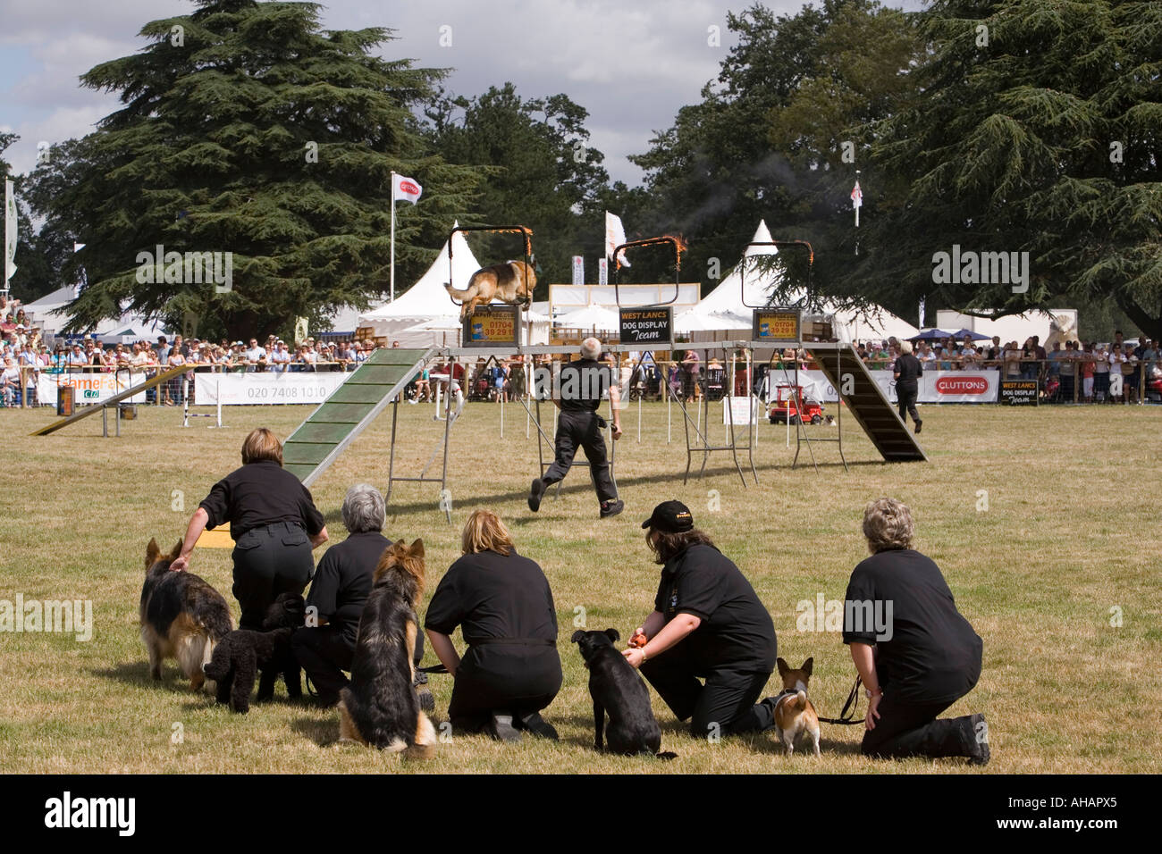 UK Hampshire Romsey Broadlands CLA Game Fair West Lancashire Hund Display Team in Aktion Stockfoto
