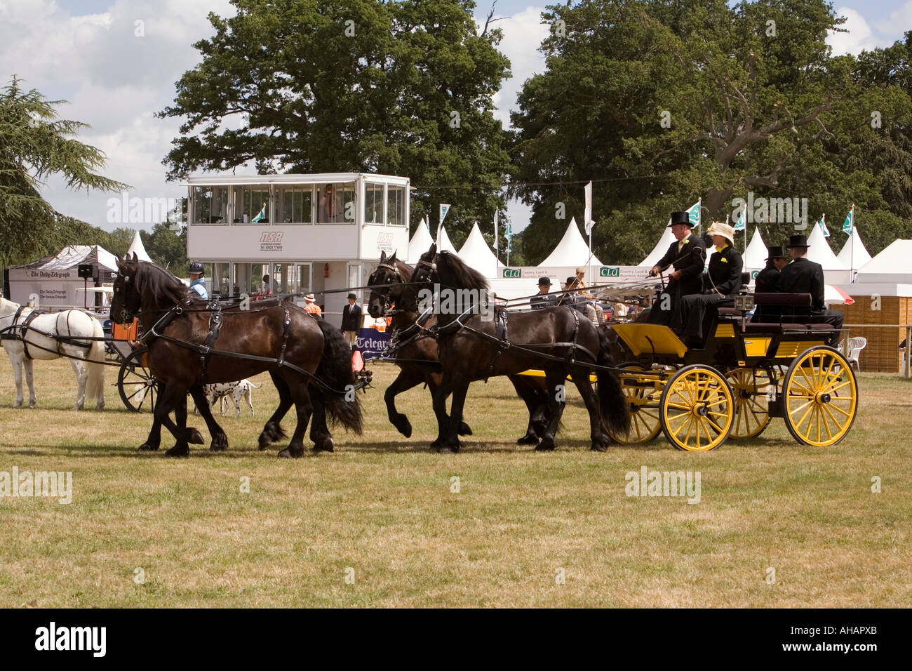 Trainer und vier anzeigen Großbritannien Hampshire Romsey Broadlands CLA Game Fair Main Arena fahren Stockfoto