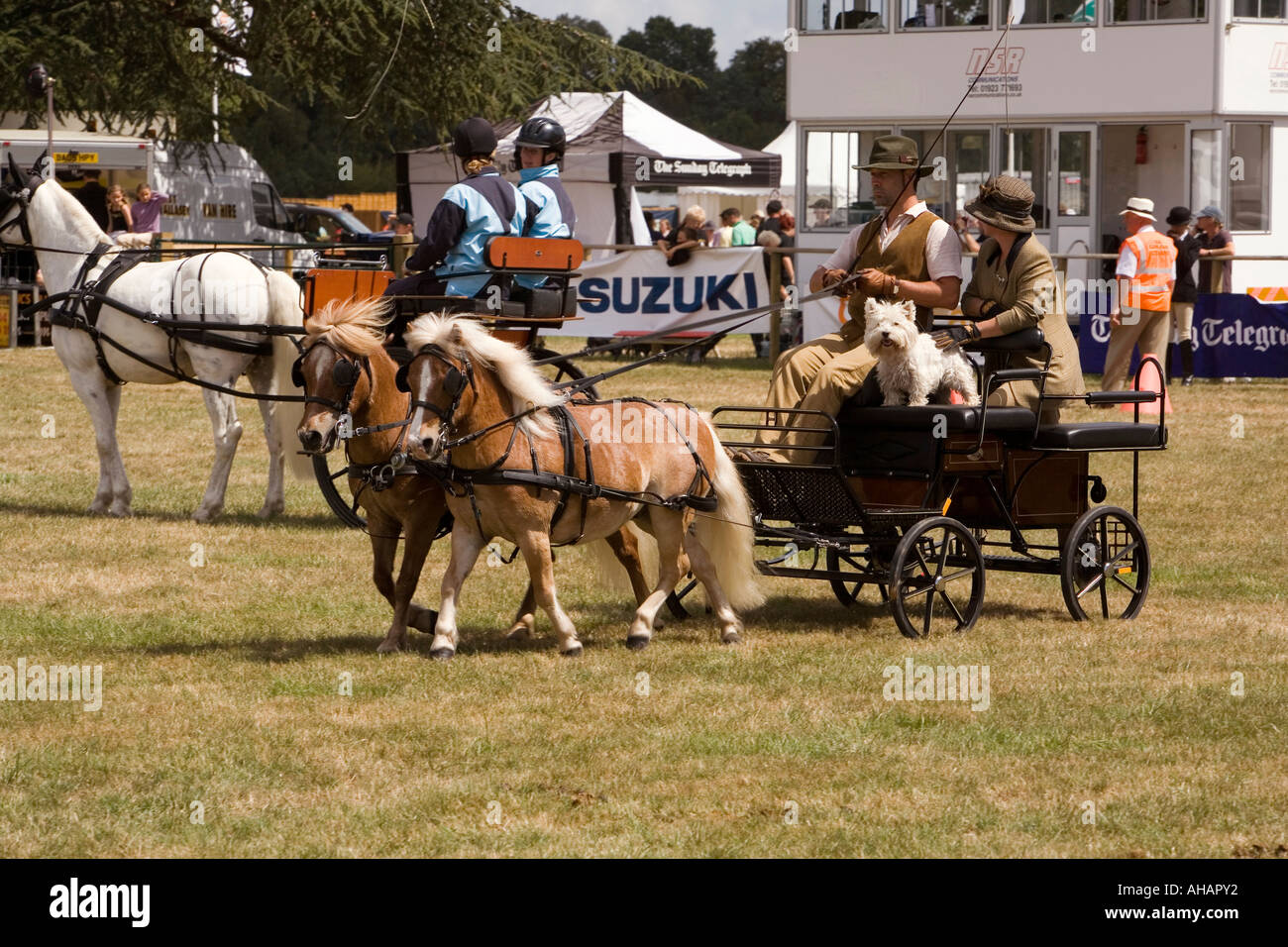 UK Hampshire Romsey Broadlands CLA Game Fair Main Arena Fahrsport Display Shetland Pony gezogenen Wagen Stockfoto