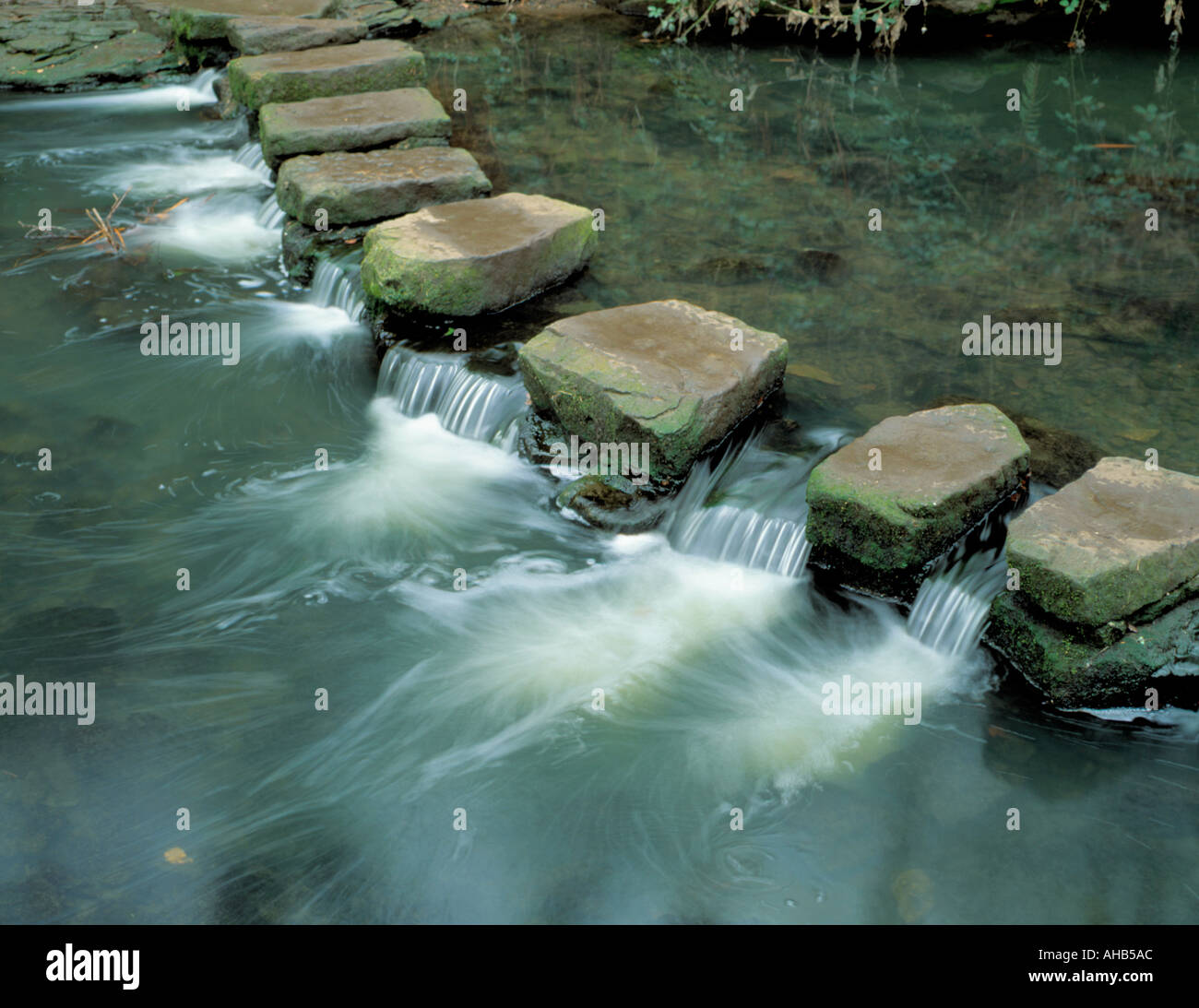 Trittsteine; über die Ouseburn, Jesmond Dene, Newcastle Upon Tyne, England, UK. Stockfoto