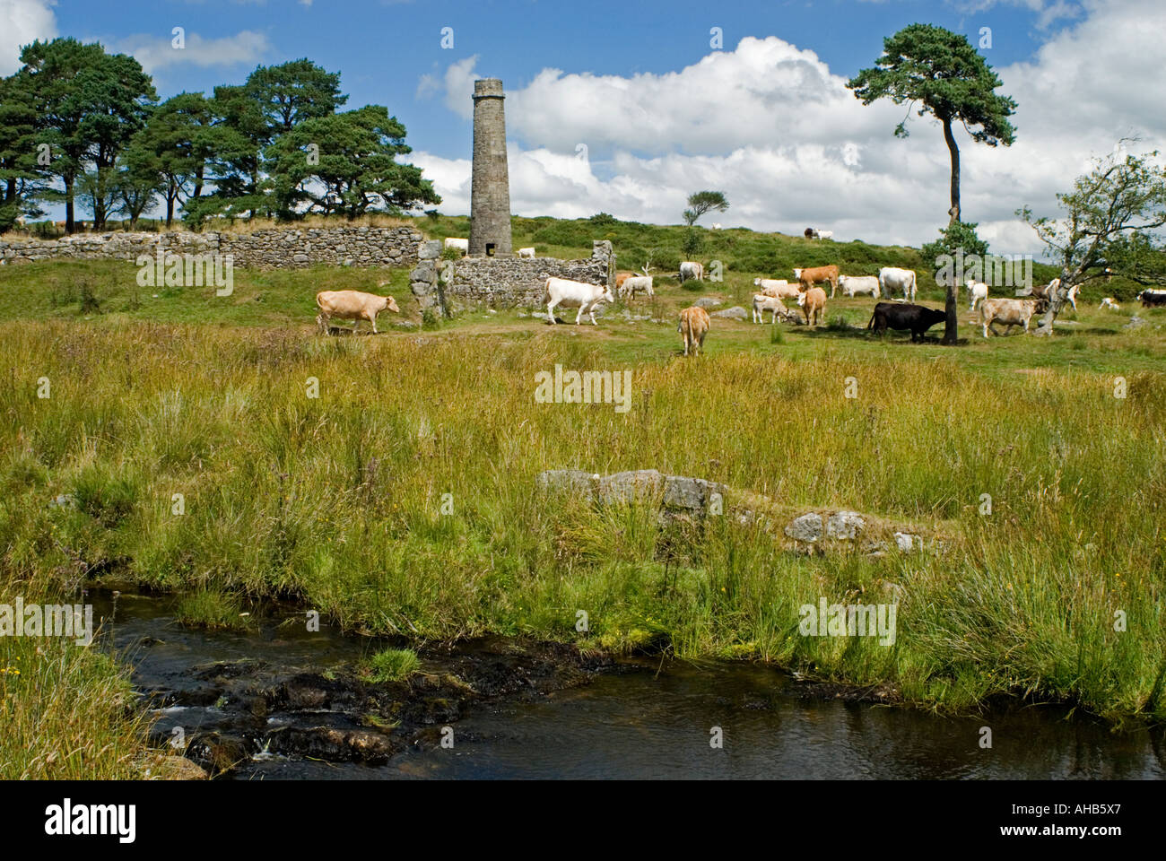 Pulvermühle, Dartmoor, England, Stockfoto