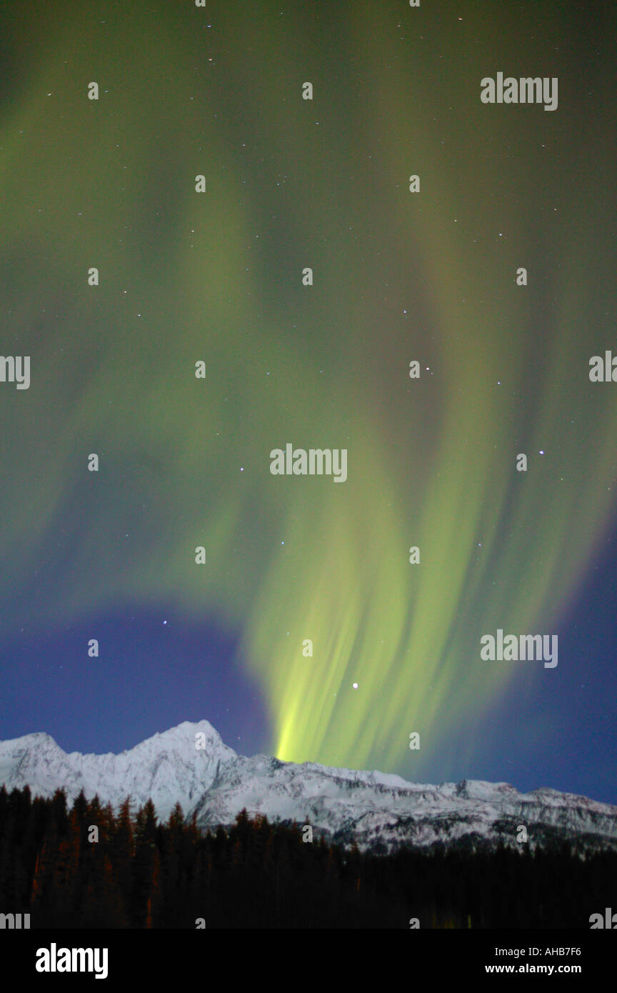 Nordlicht oder Aurora Borealis über Mt Alice und die Chugach National Forest in der Nähe von Seward Alaska Stockfoto