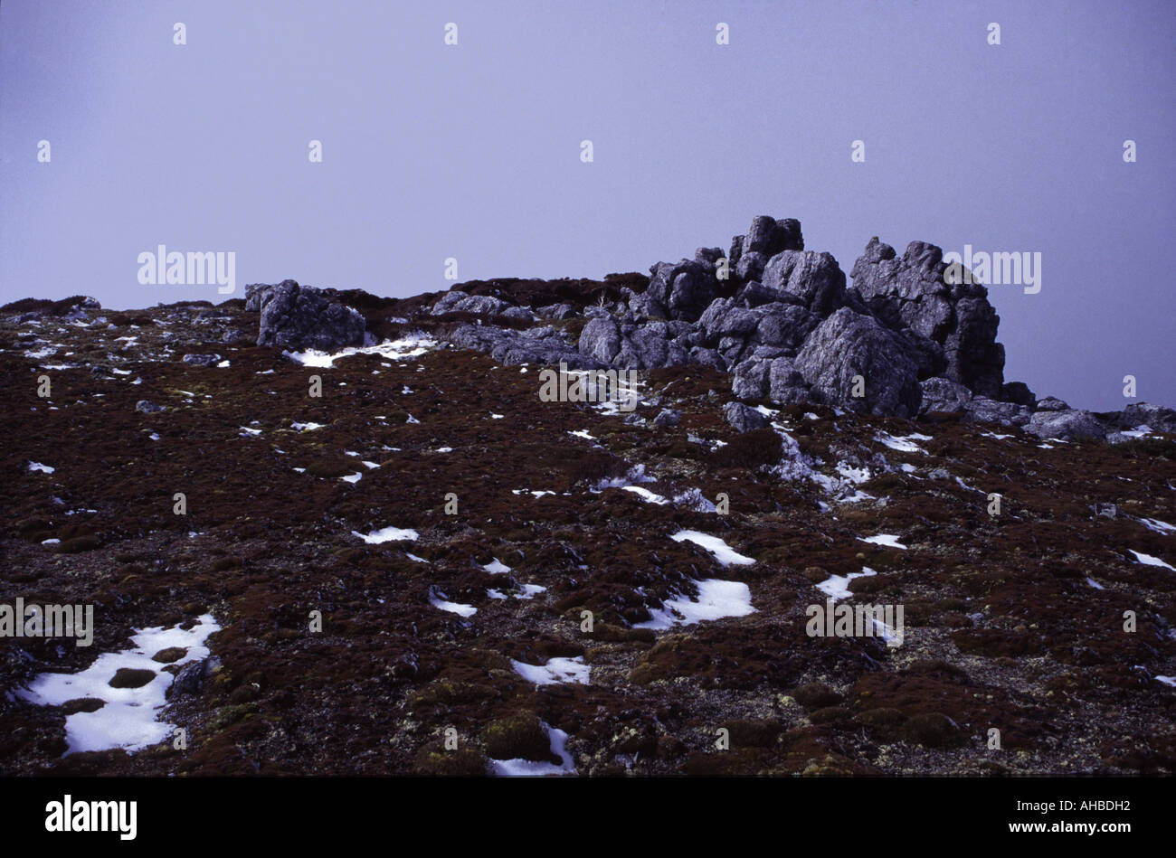 Ein Quarzit-Felsen nahe dem Gipfel des Mount Anne, South West Tasmanische Wildnis, Tasmanien, Australien. Stockfoto