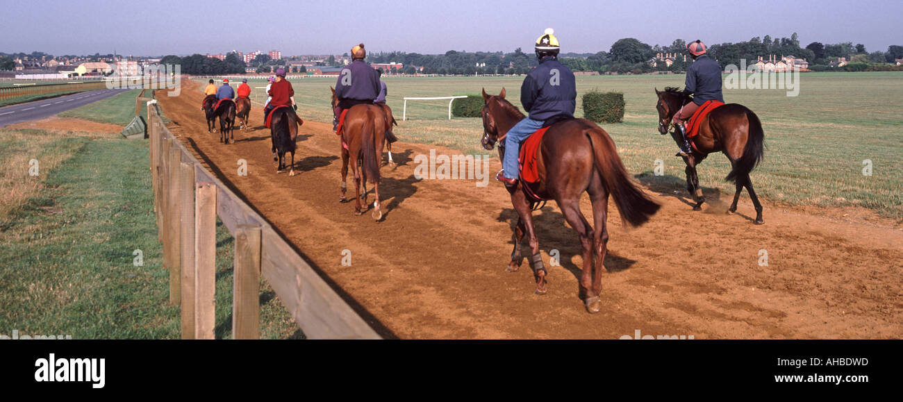 Pferderennen Galopps in Newmarket Heath Horses & Riders, die nach Übungen und Training am frühen Morgen zurückkehren, Suffolk Cambridgeshire grenzt an England Großbritannien Stockfoto