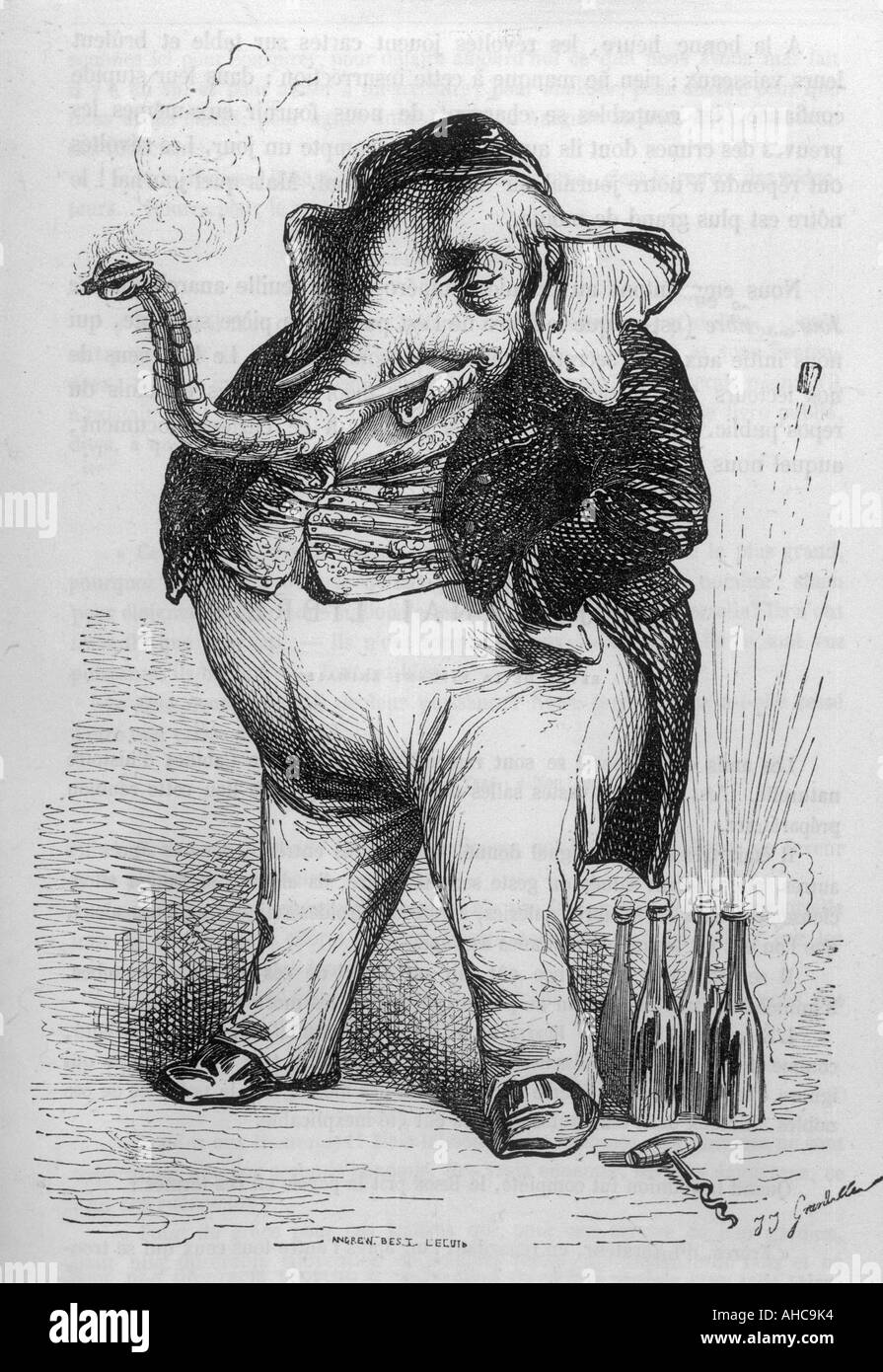 Elefant Bon Vivant 1840 Stockfoto