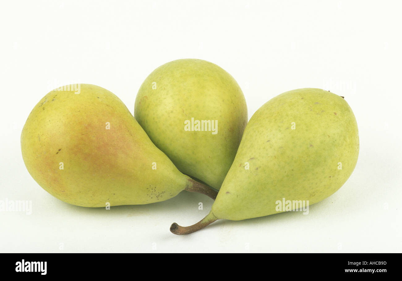 Birnen Coscia Italien Stockfoto