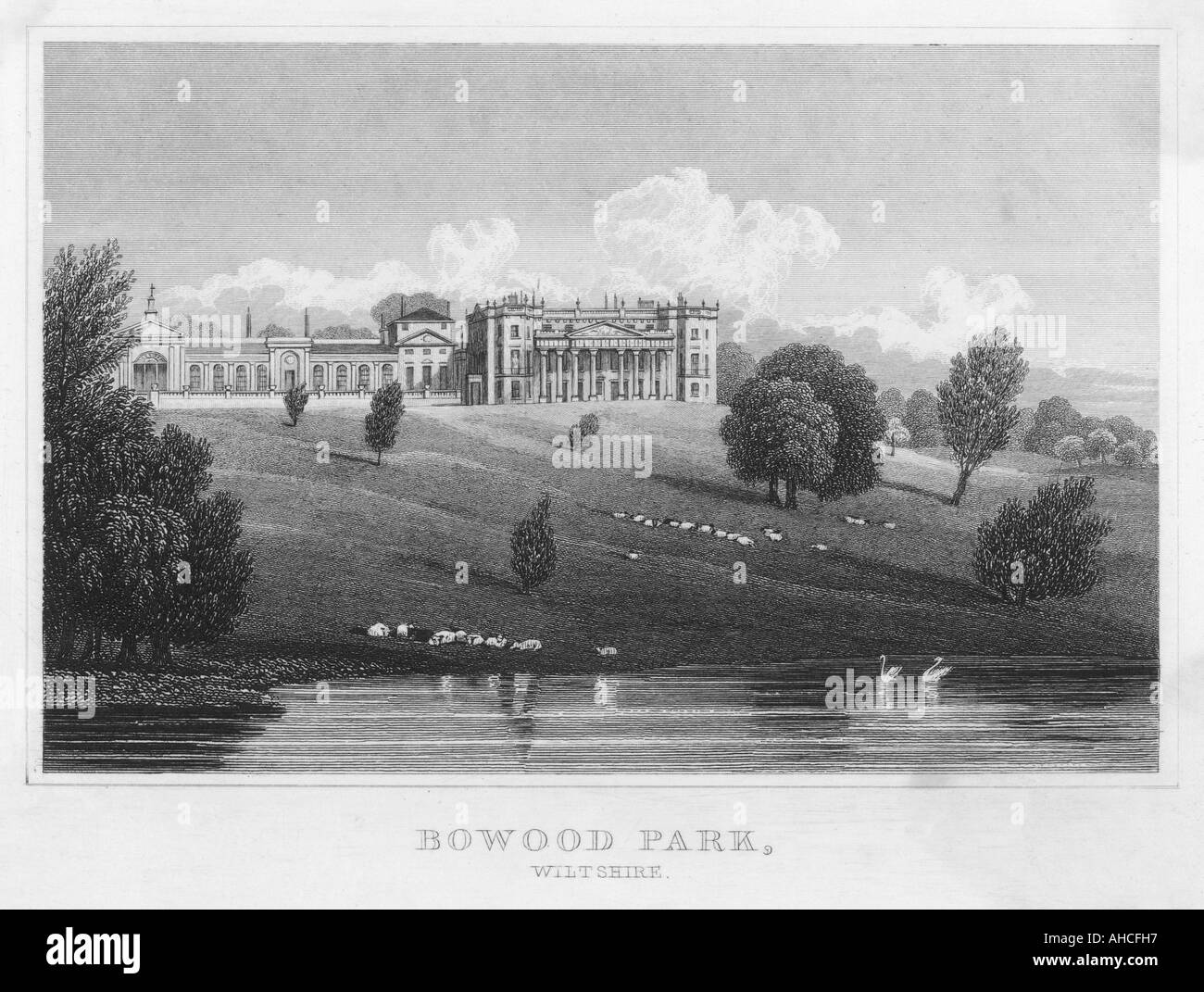 England Bowood Park Stockfoto
