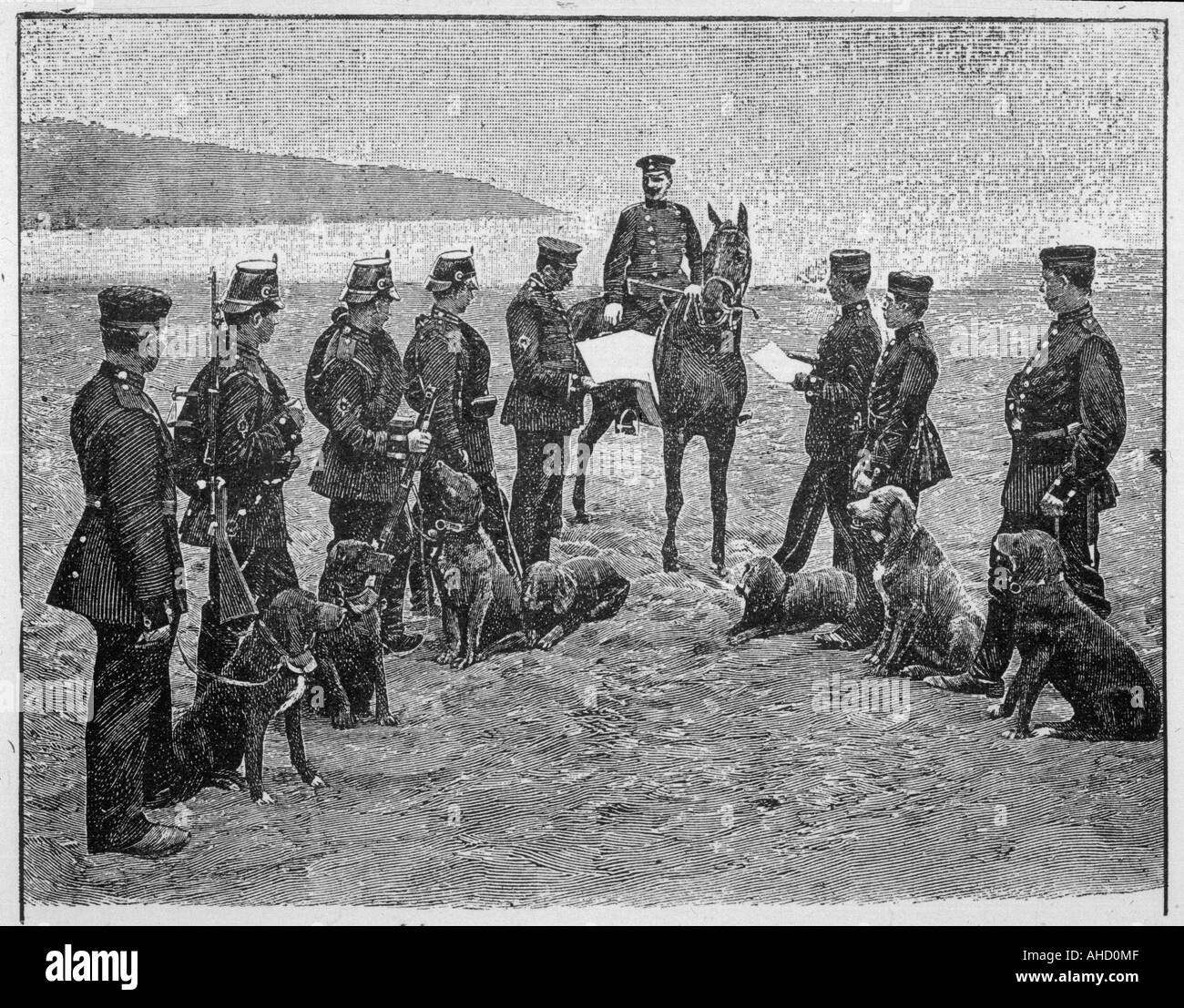 Deutsche Hunde des Krieges Stockfoto