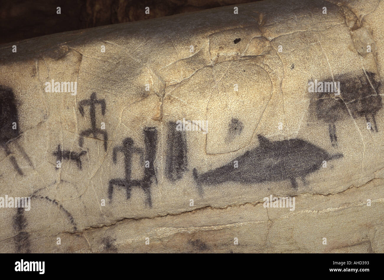 Archäologischer Fund Genovese Höhle Levanzo Ägadischen Inseln Sizilien Italien Stockfoto