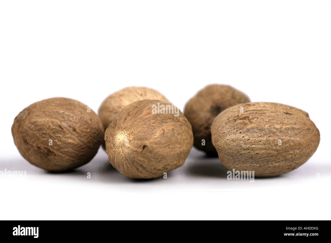 Muskatnuss, Muskatblüte (Myristica Fragrans), Muskat-Äpfel Stockfoto