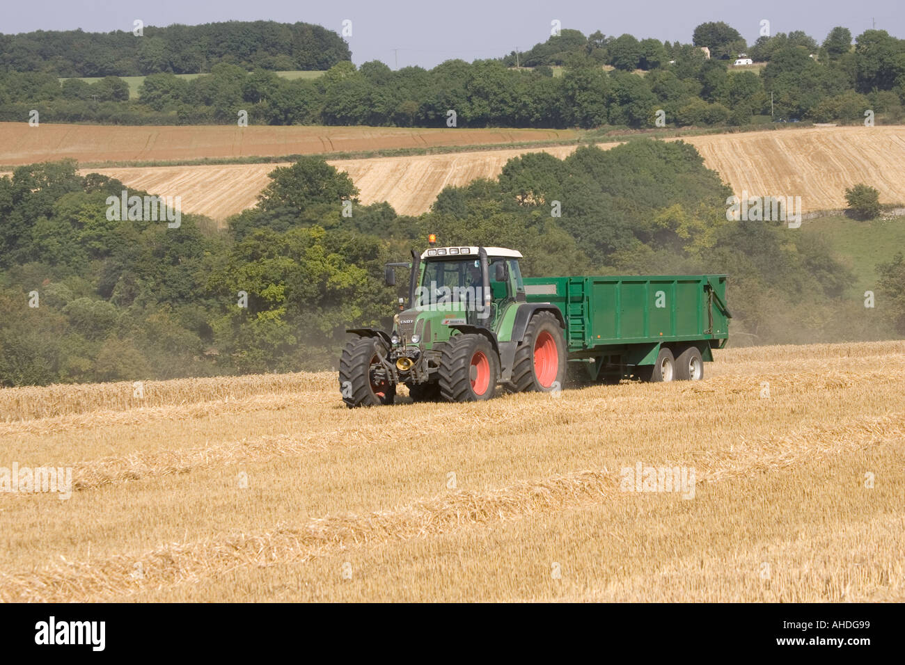 Zugmaschine und Anhänger schleppen vom Weizen Mähdrescher Cotswolds in der Nähe von Winchcombe UK Stockfoto