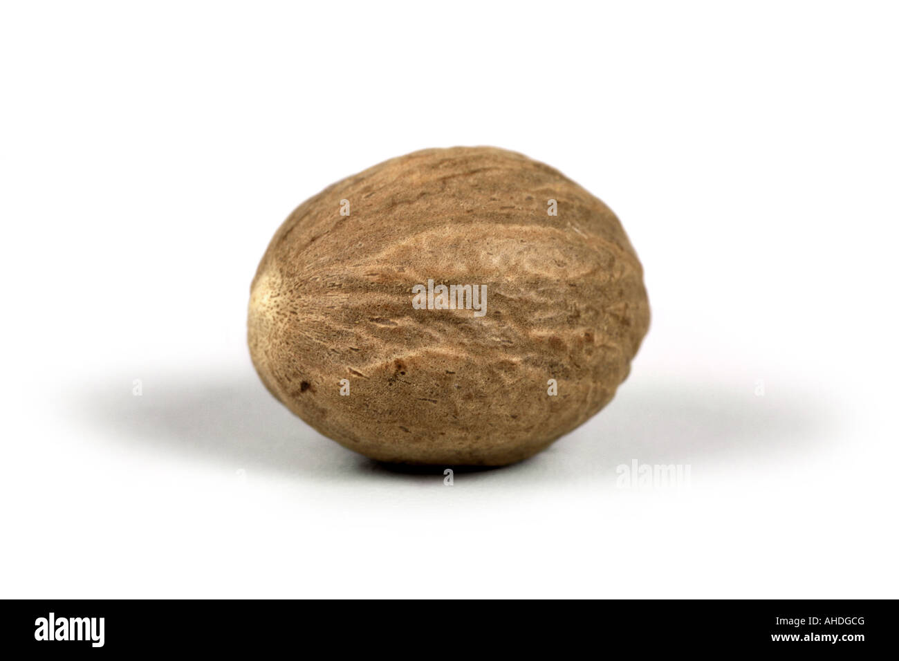 Muskatnuss, Muskatblüte (Myristica Fragrans), Muskat-Äpfel Stockfoto