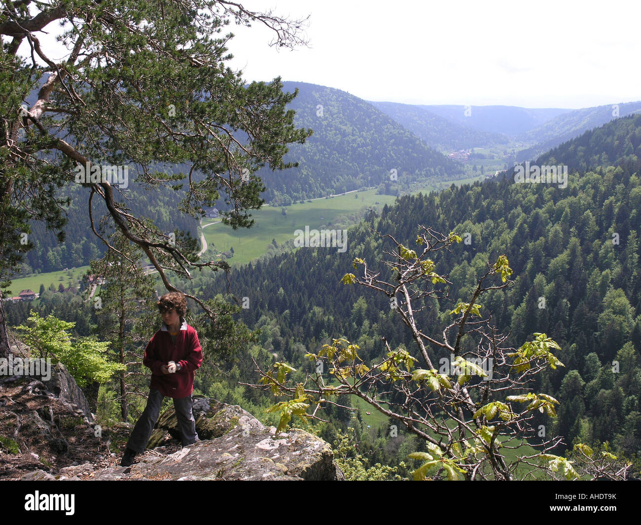 Blick Vom Bildsteinfelsen ins Albtal-Südl Schwarzwald Baden-Württemberg Deutschland Stockfoto