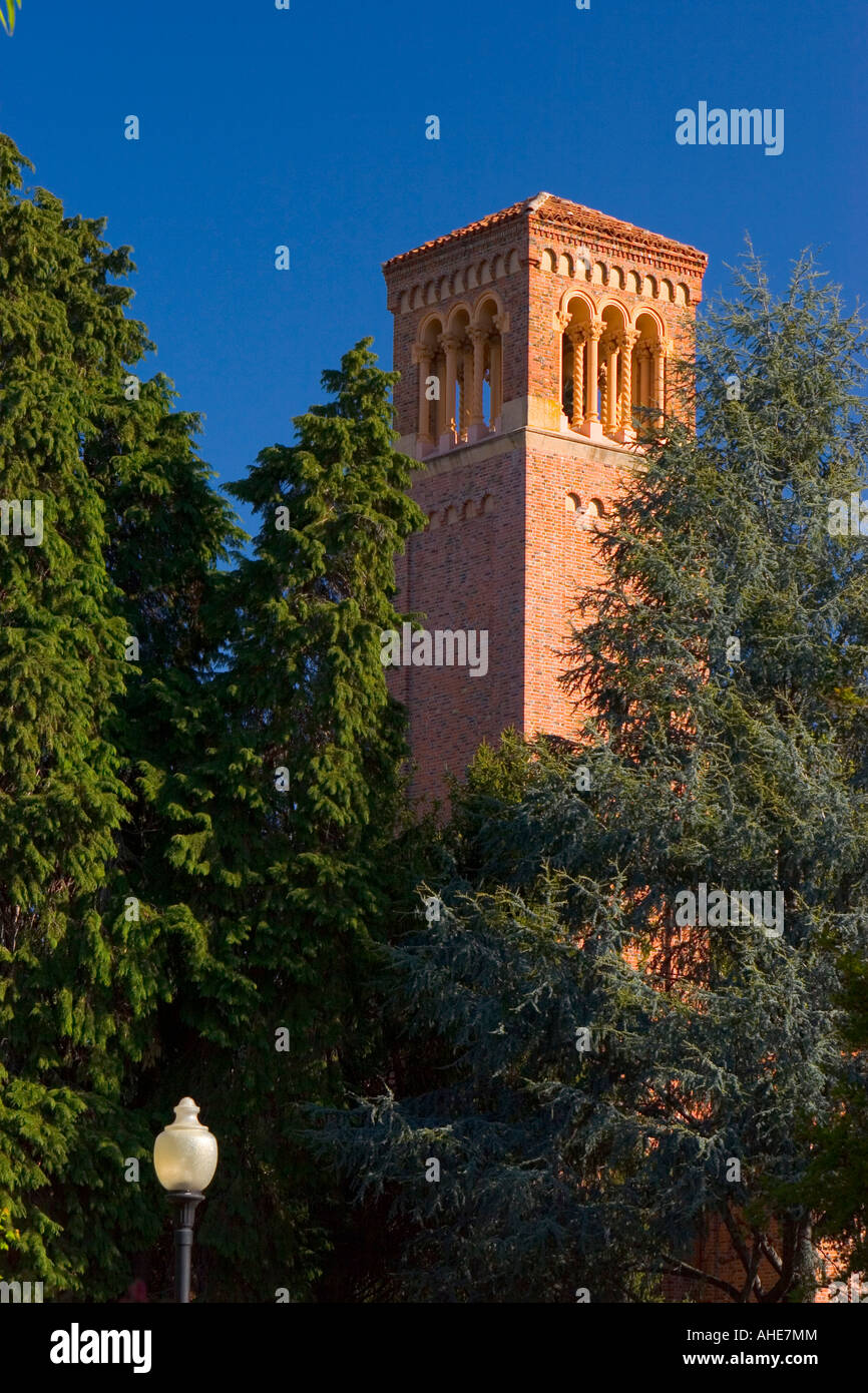 Campus der California State University Chico im Frühjahr Stockfoto