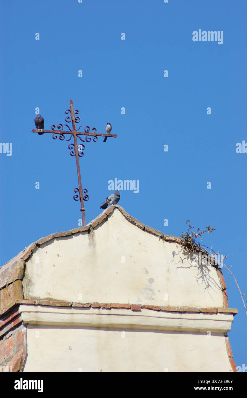 Kreuz und Vögel auf dem Glockenturm an der Mission San Juan Bautista State Park CA USA Stockfoto