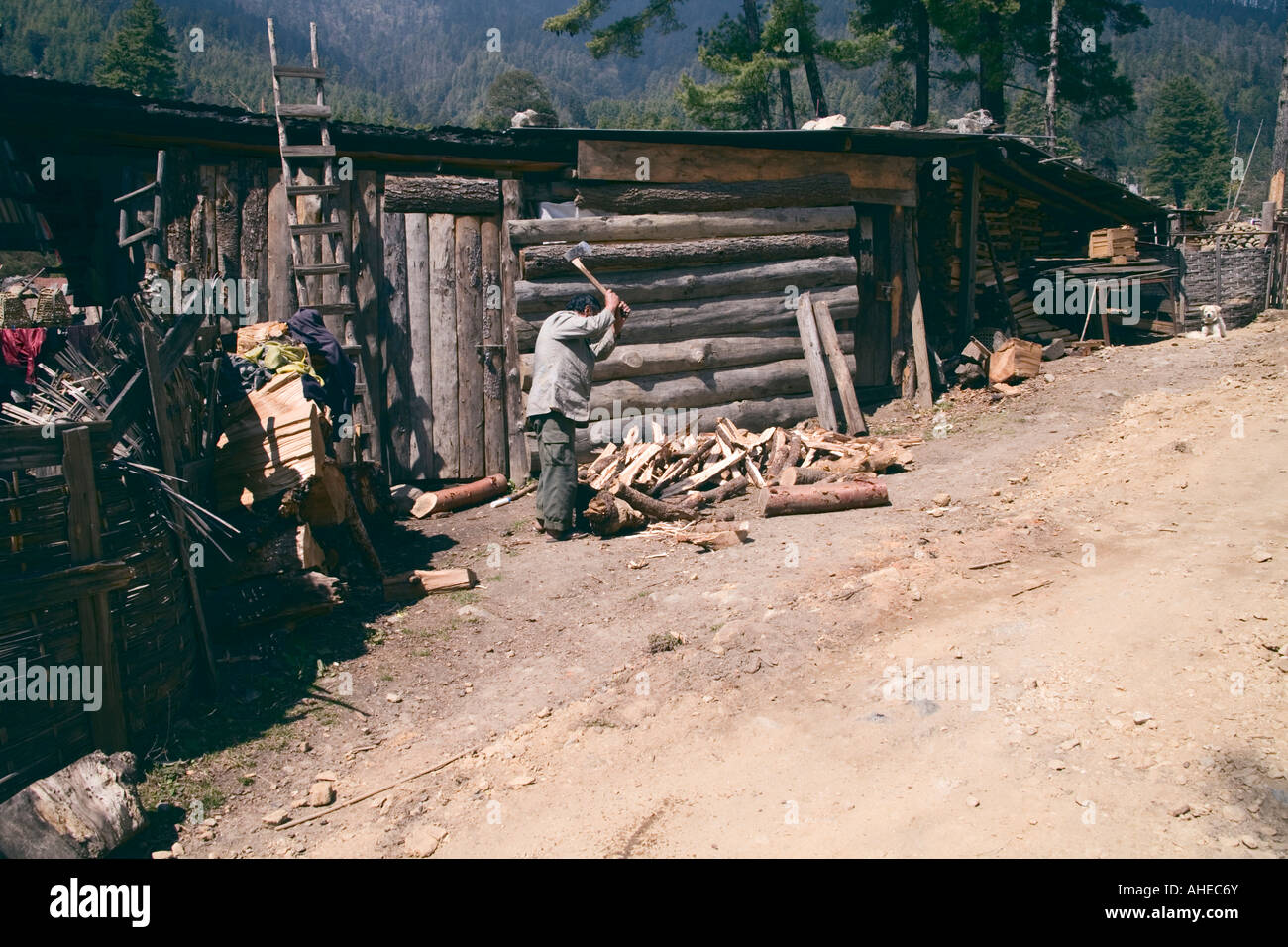 Waldarbeiter Holzhacken außerhalb einer Blockhütte in einen Nadelwald Plantage in Thimpu Provinz Western Bhutan Stockfoto