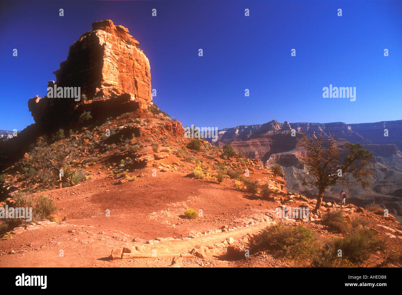 Grand Canyon Kaibab Trail Abfahrt vom Grand Canyon Nationalpark Arizona Usa u s ein Amerika Nord Stockfoto