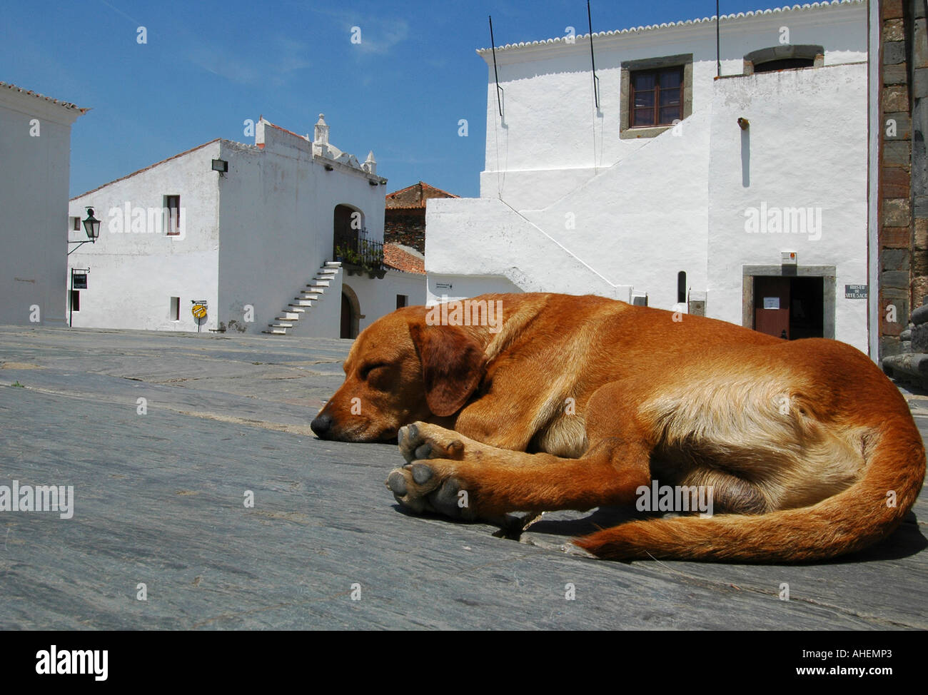 Blick auf das befestigte mittelalterliche Monsaraz Dorf, das steht auf einem Hügel am rechten Rand des Flusses Guadiana im Alentejo, Portugal Stockfoto
