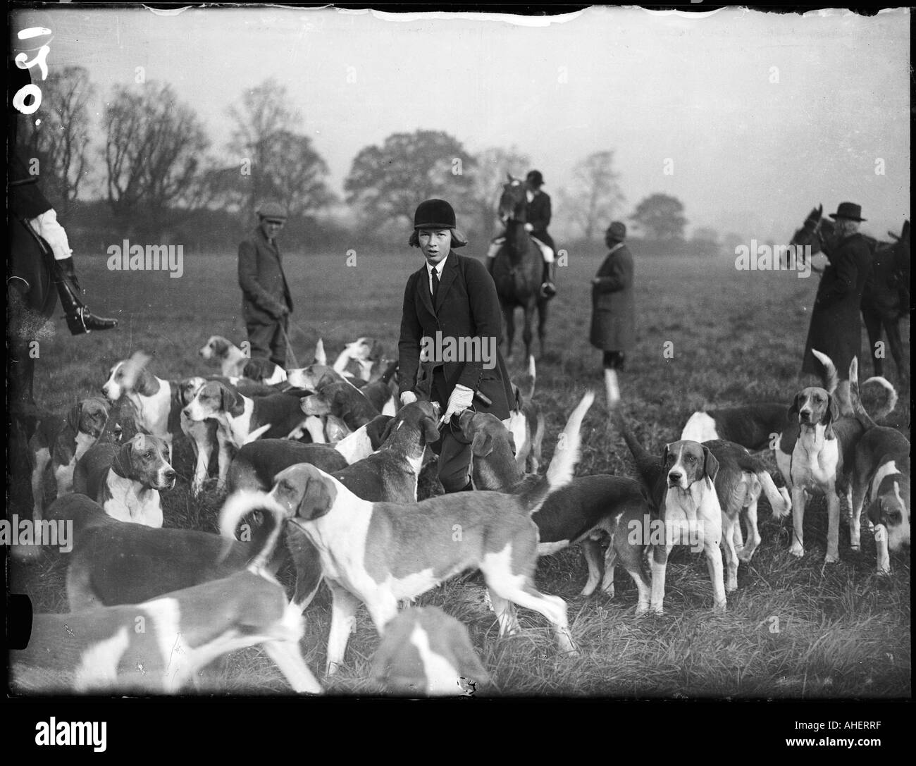 Fuchs Jagd Treffen der 1930er Jahre Stockfoto