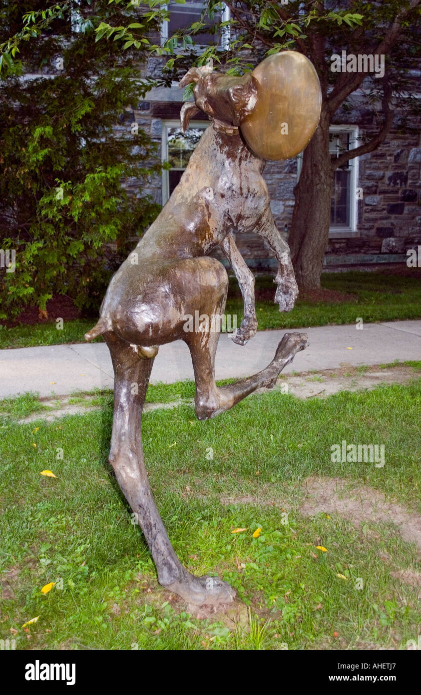 Die Bronzestatue eines Hundes, der im Middlebury College in Vermont eine Frisbee fängt, erinnert an die Anfänge des Sports im Jahr 1938. Stockfoto