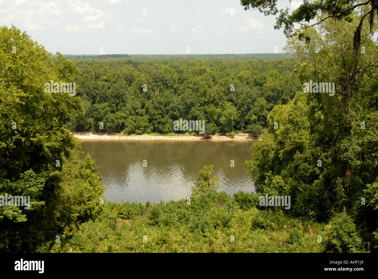 Florida Torreya Staatspark malerische Aussicht Landschaft der Apalachicola River Stockfoto